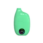 Private Mold Disposable Vape – 15m -green